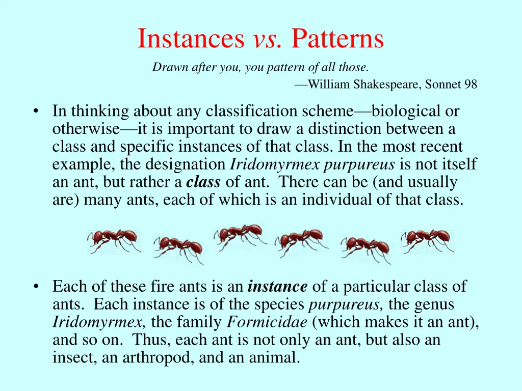 instances vs patterns drawn after you you pattern