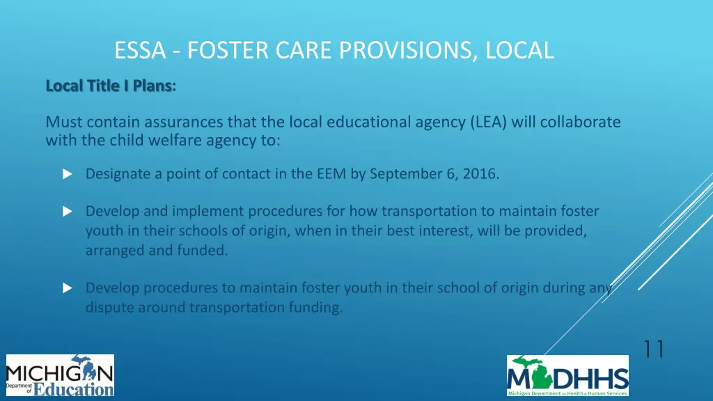essa foster care provisions local