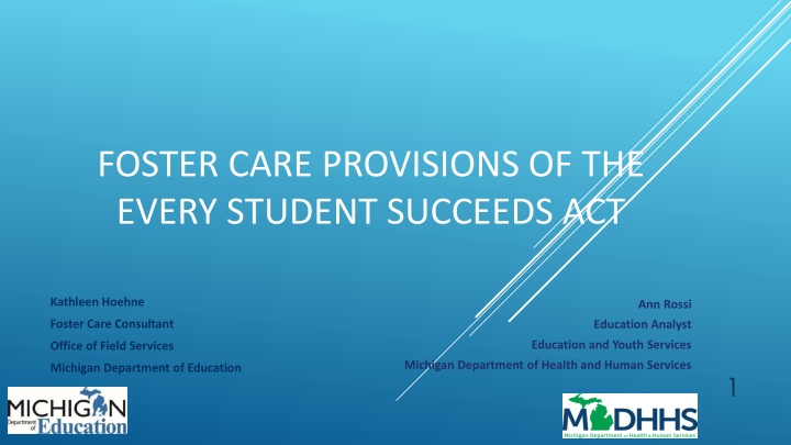 foster care provisions of the every student