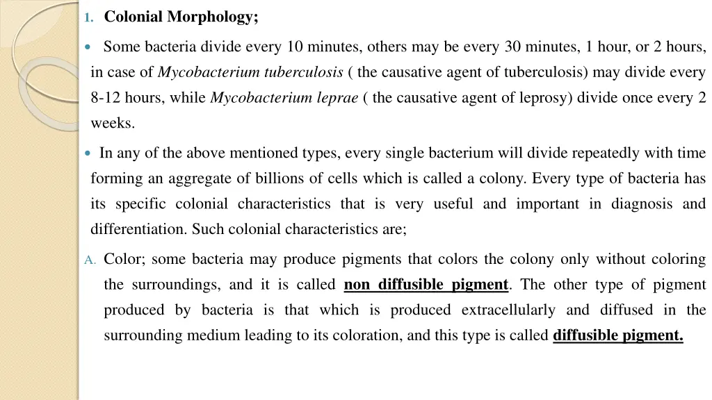 1 colonial morphology