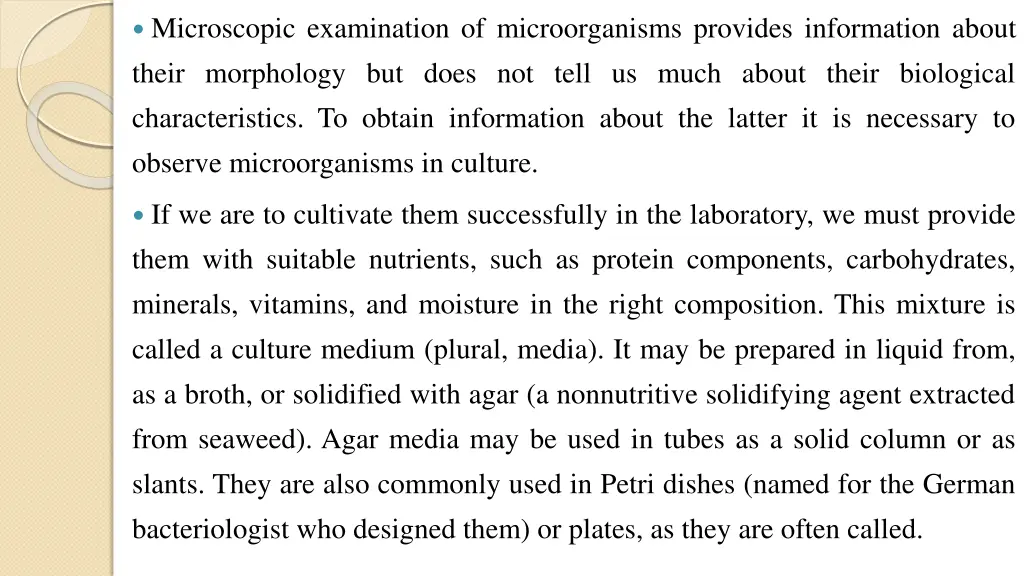 microscopic examination of microorganisms