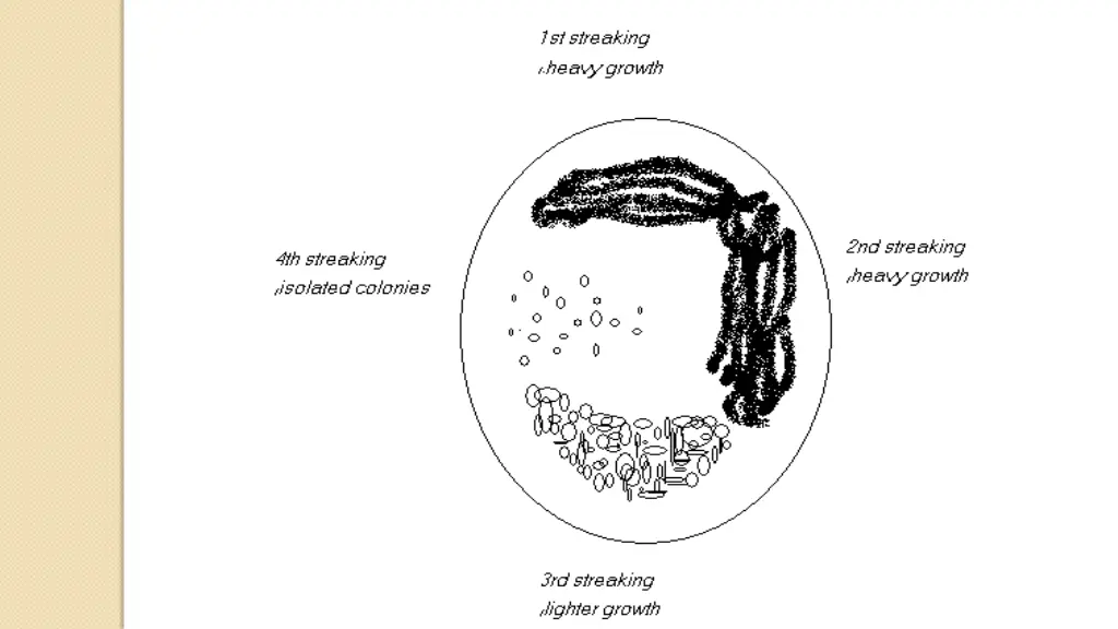 slide11