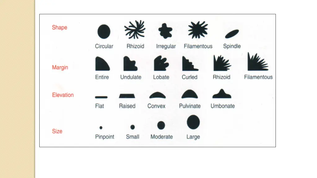 slide15