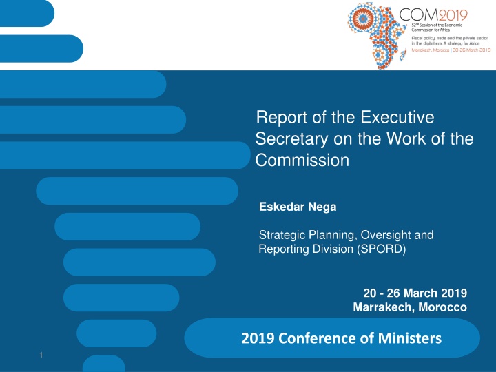 report of the executive secretary on the work