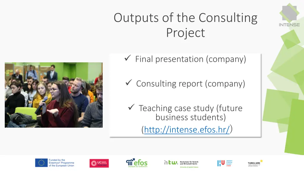 outputs of the consulting project