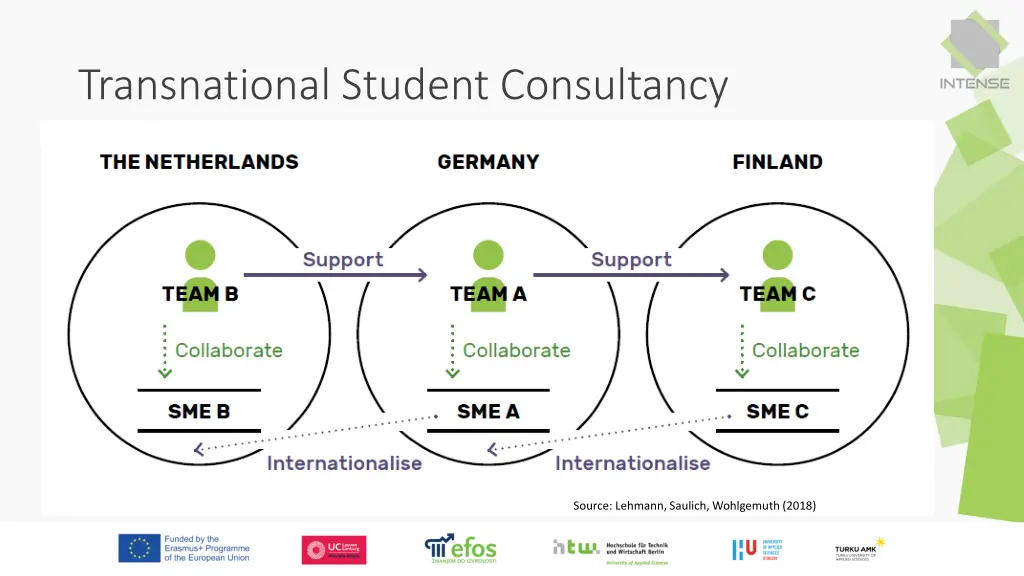 transnational student consultancy