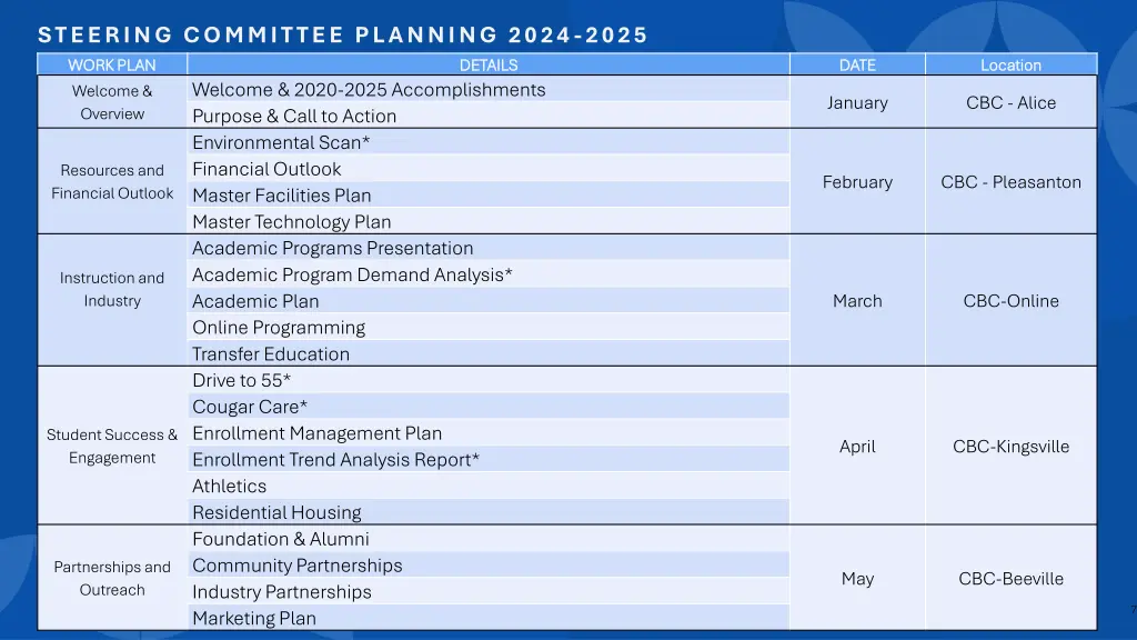 steering committee planning 2024 2025 work plan