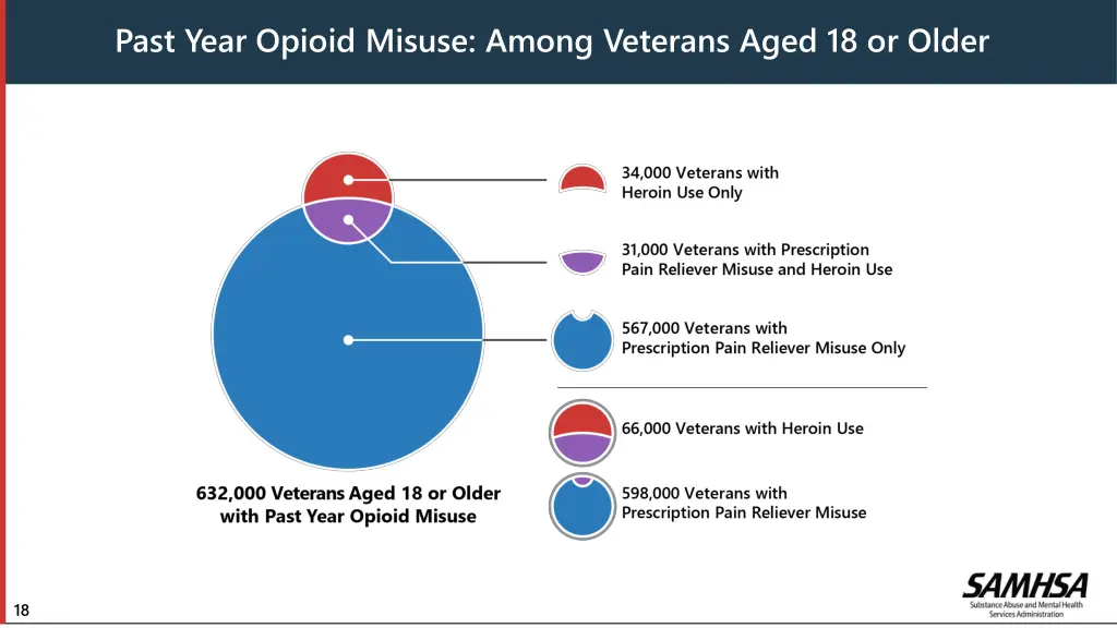 past year opioid misuse among veterans aged