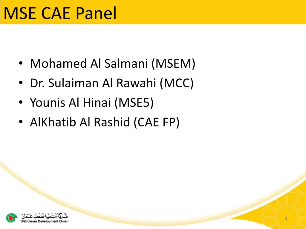 mse cae panel