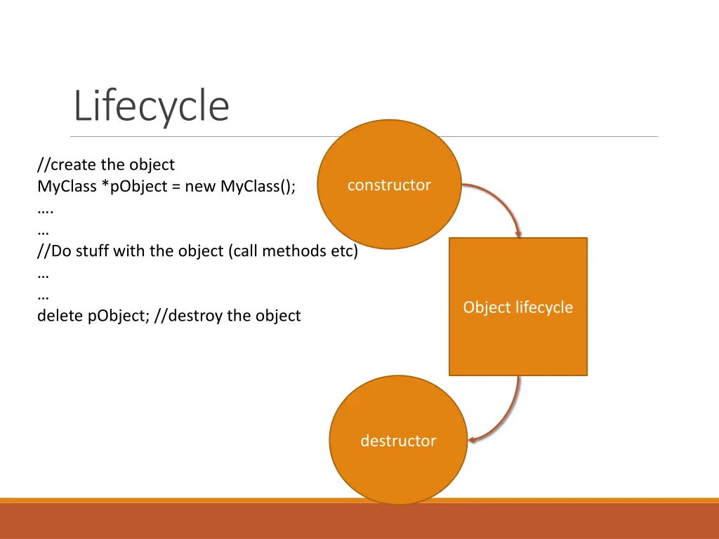 lifecycle