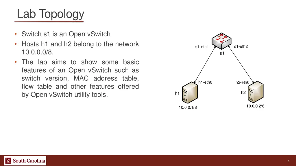 lab topology