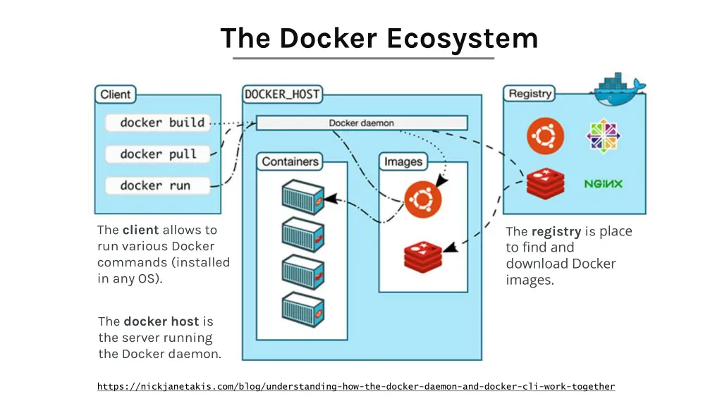 the docker ecosystem