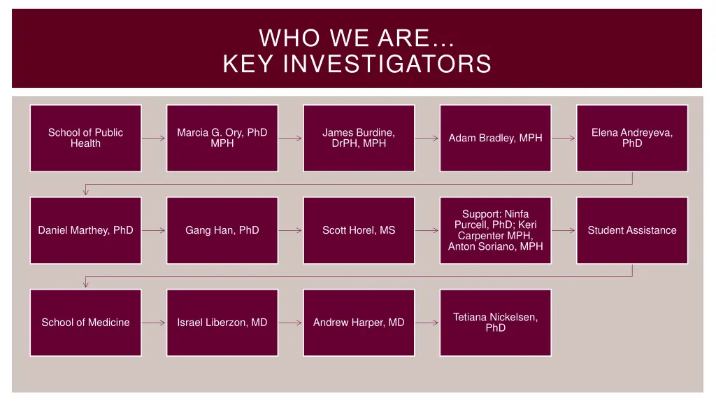 who we are key investigators