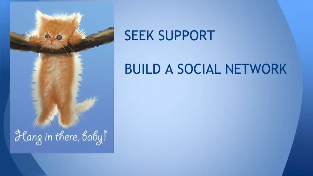 seek support