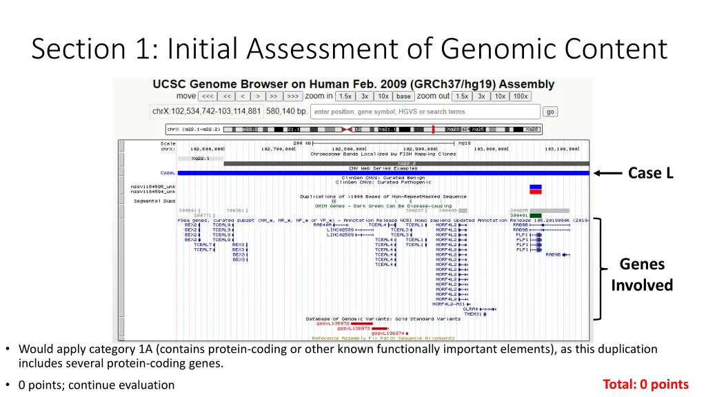 section 1 initial assessment of genomic content