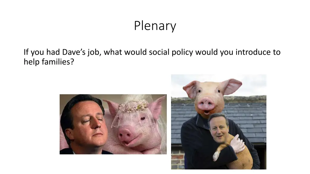 plenary