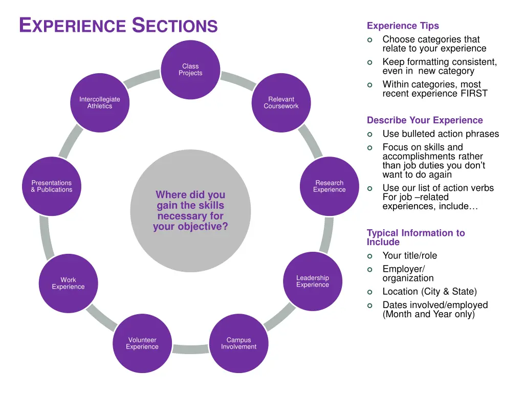 e xperience s ections