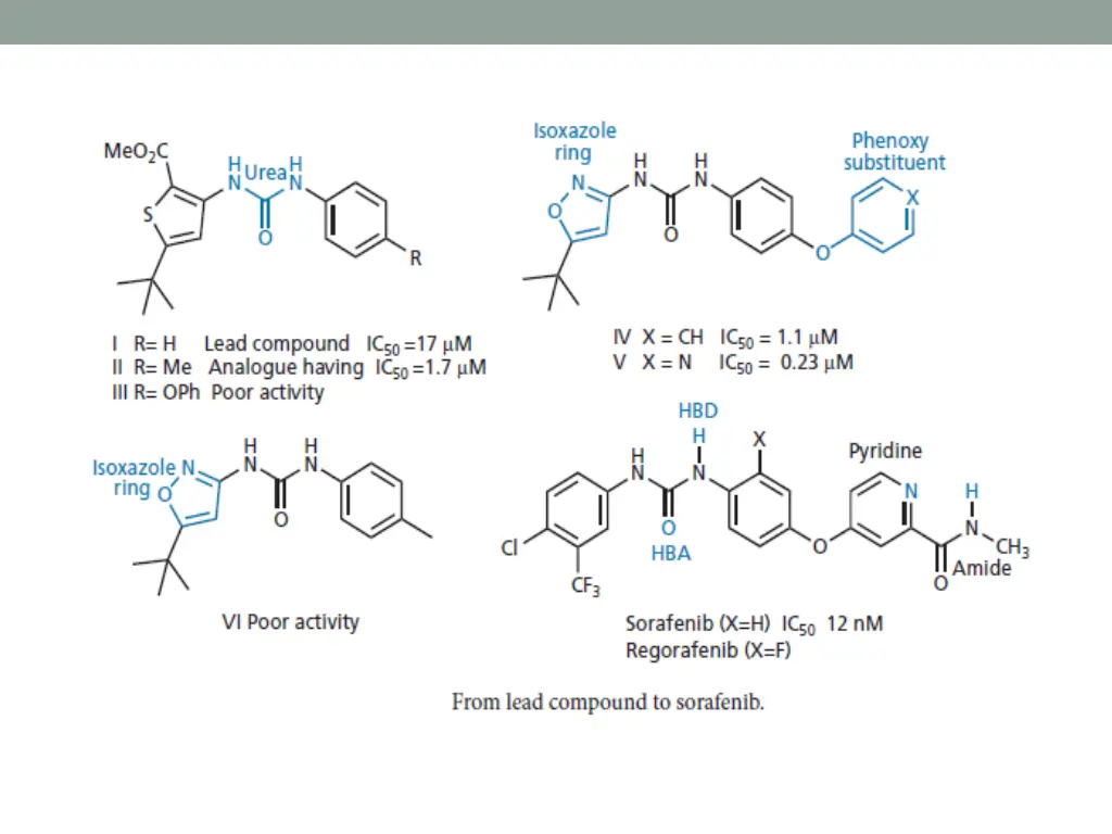 slide11