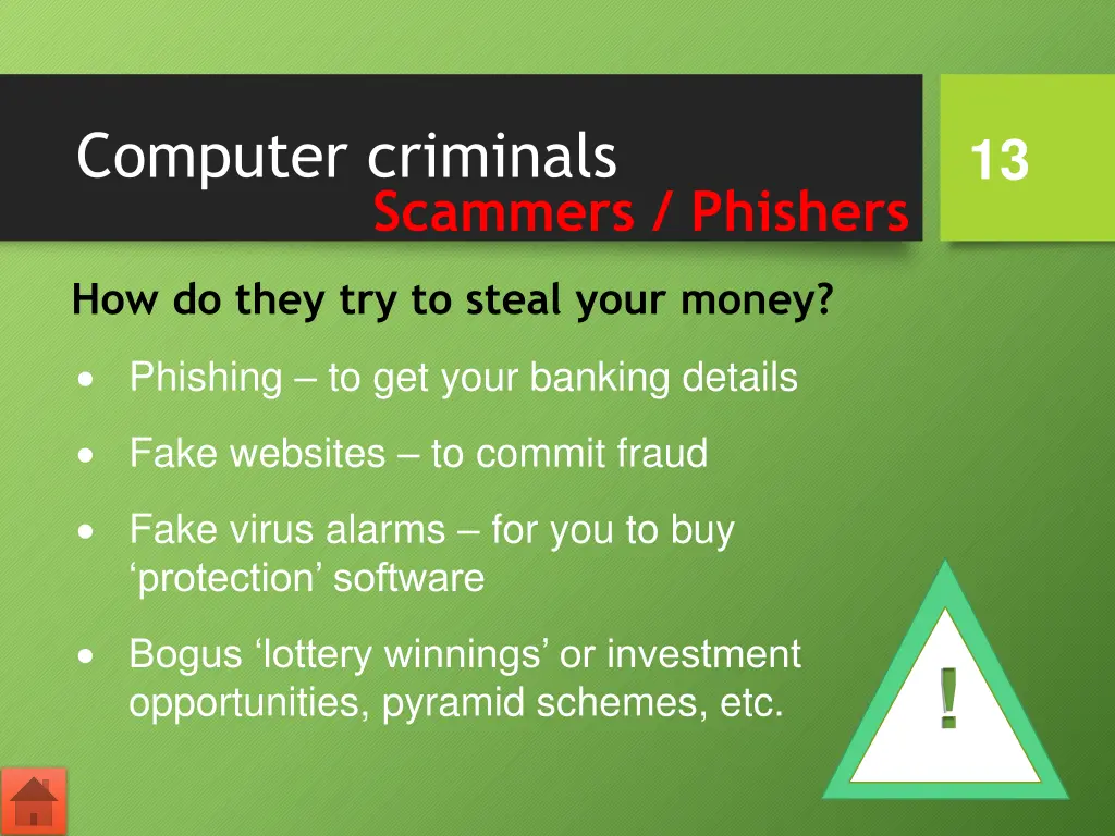 computer criminals 1