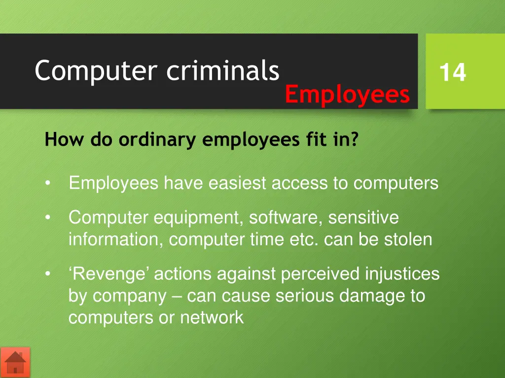 computer criminals 2