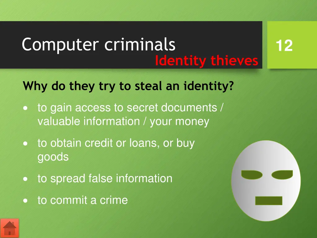 computer criminals