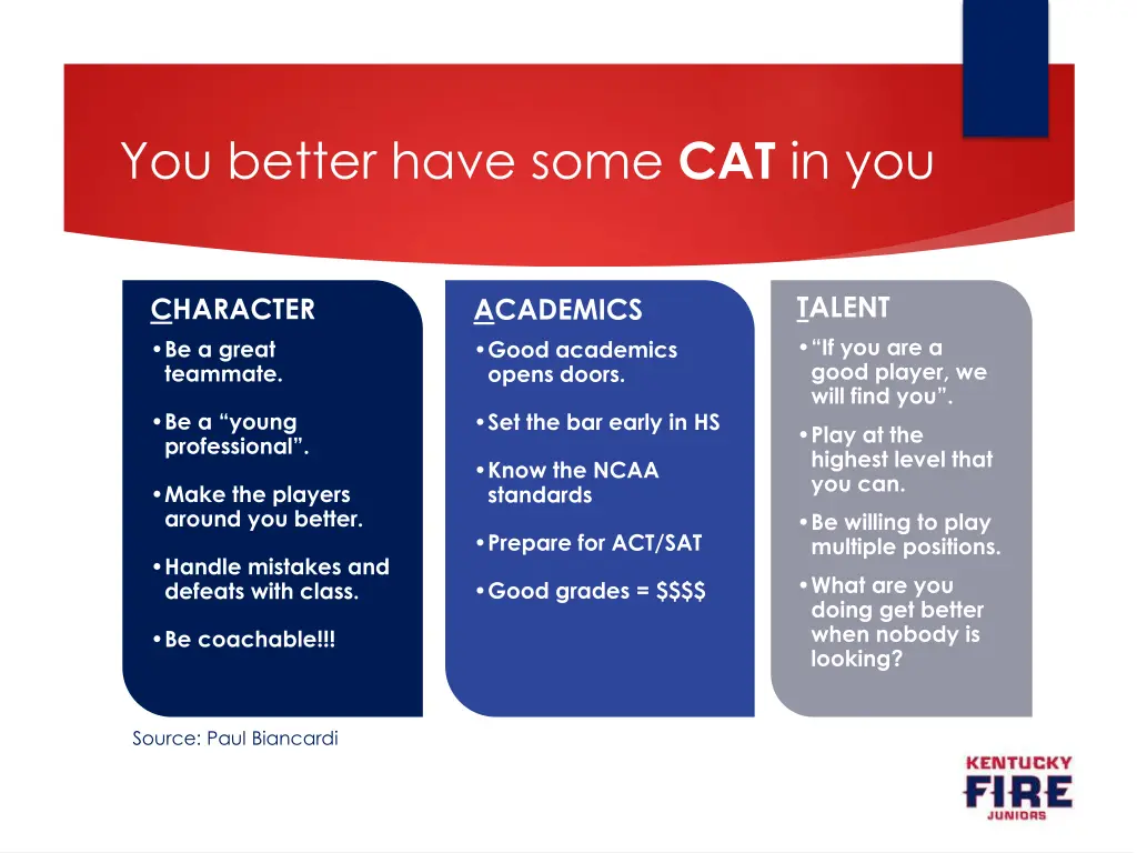 you better have some cat in you