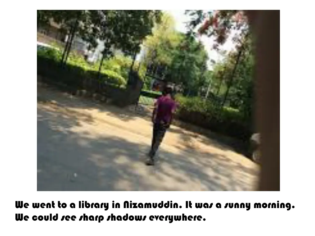 we went to a library in nizamuddin it was a sunny
