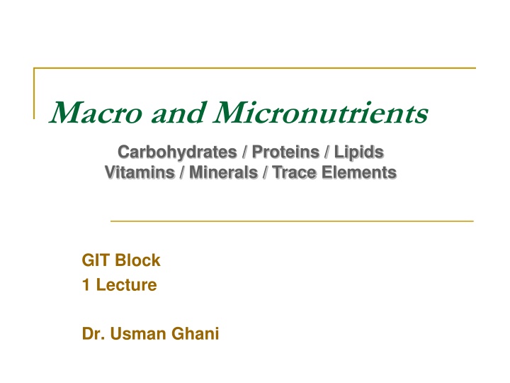 macro and micronutrients