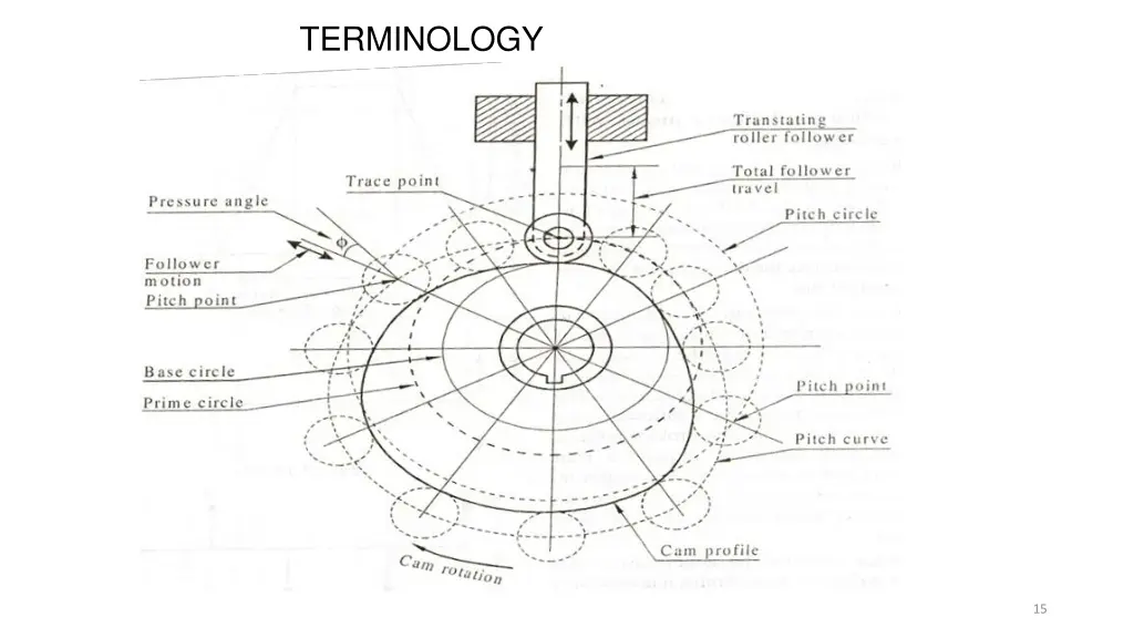 terminology