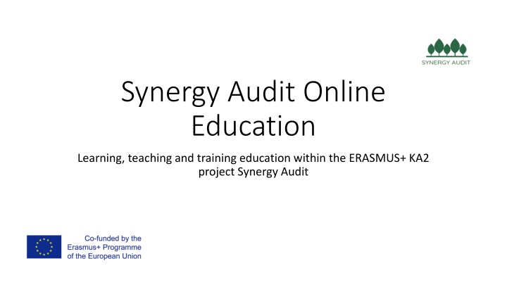 synergy audit online education