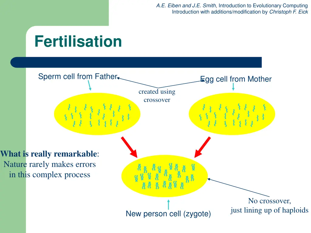 a e eiben and j e smith introduction 23