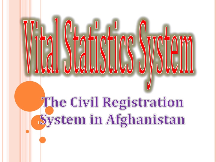 vital statistics system