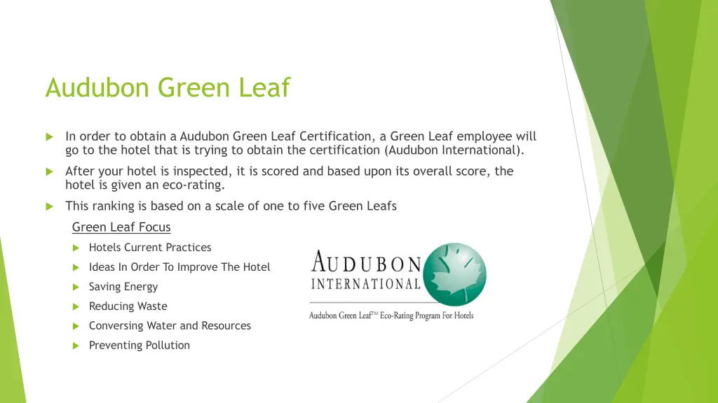 audubon green leaf