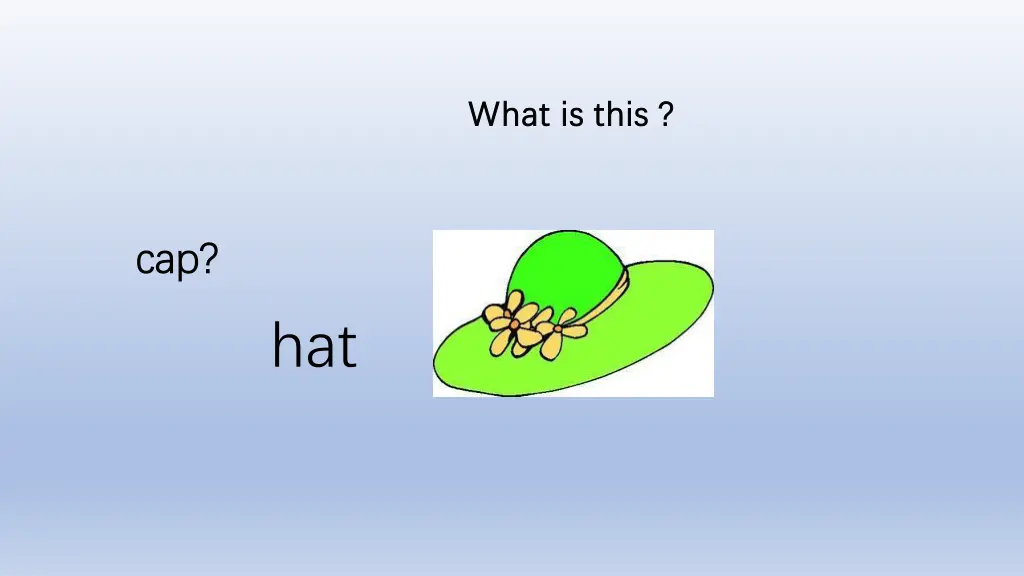 what is this what is this 2