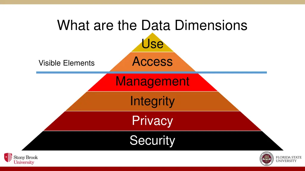 what are the data dimensions use access