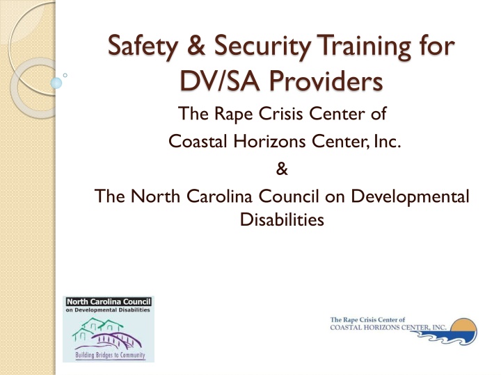 safety security training for dv sa providers