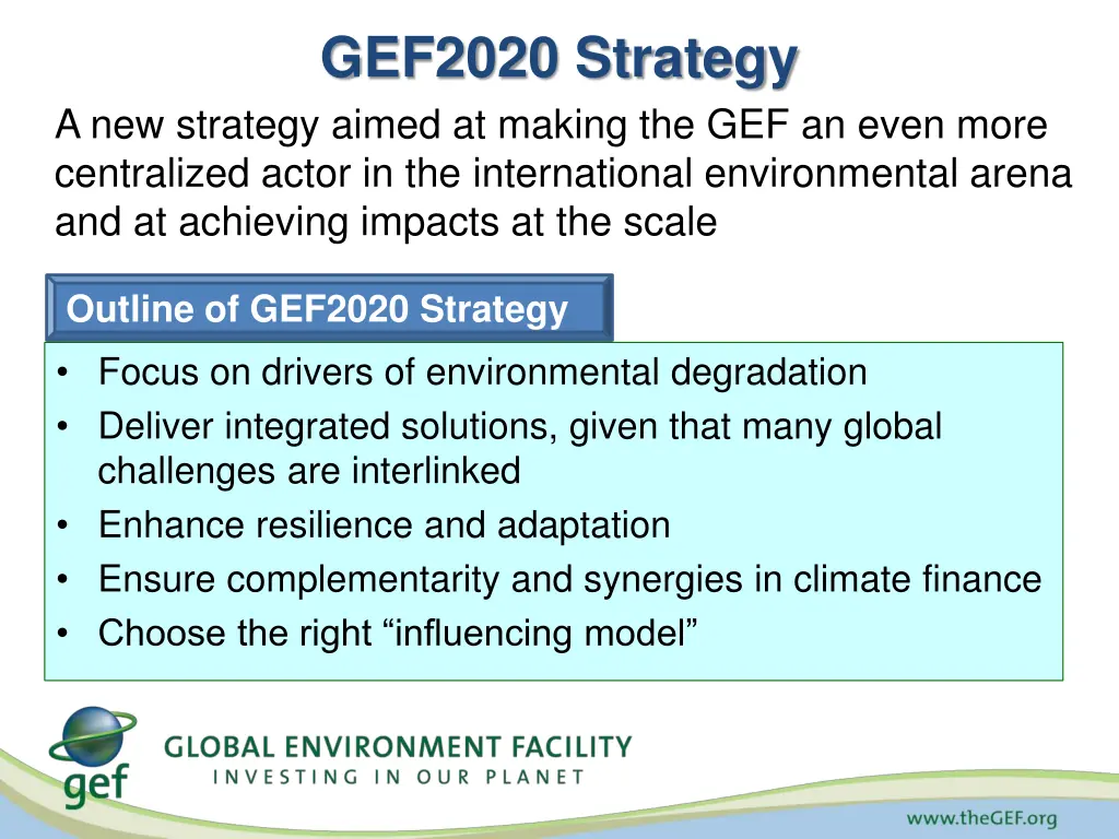 gef2020 strategy