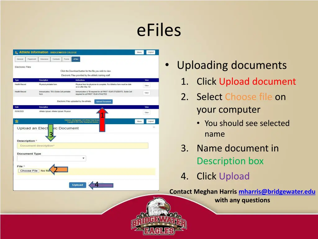 efiles 3