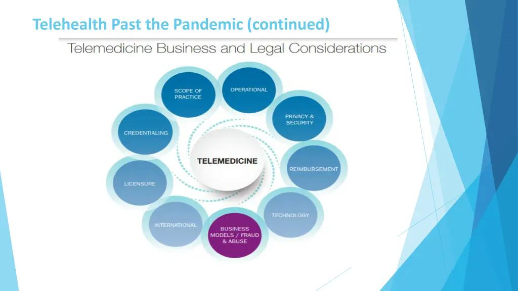 telehealth past the pandemic continued 1