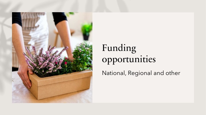 funding opportunities