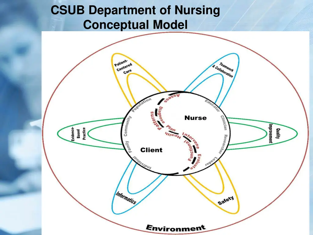 csub department of nursing conceptual model
