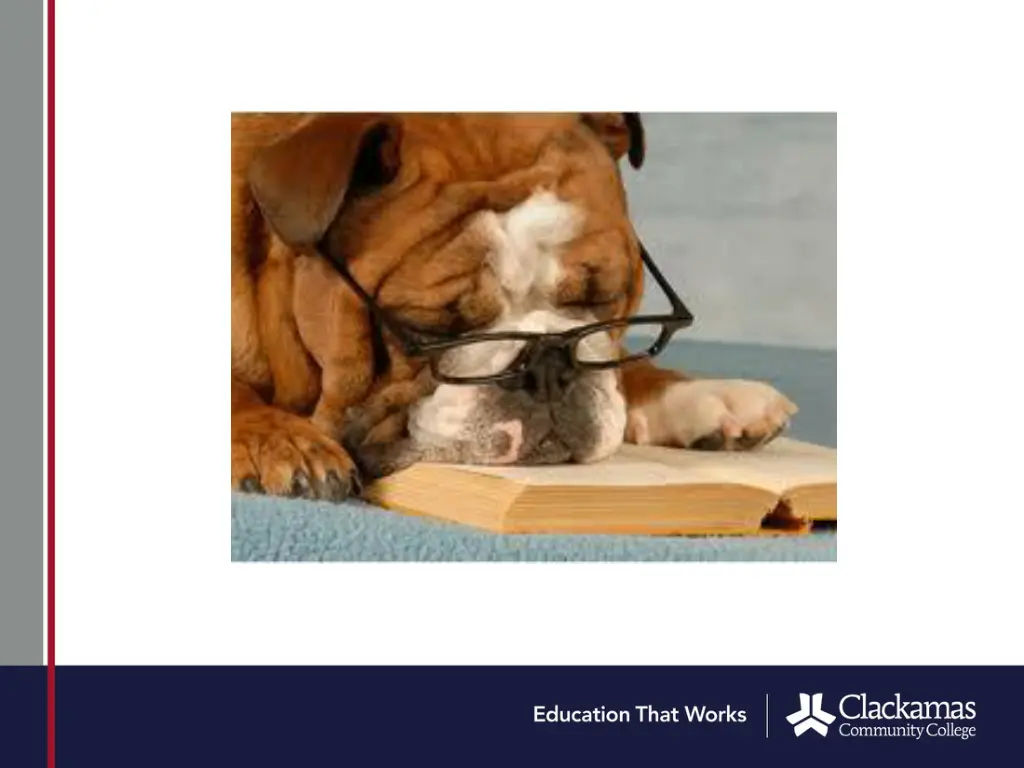 slide16