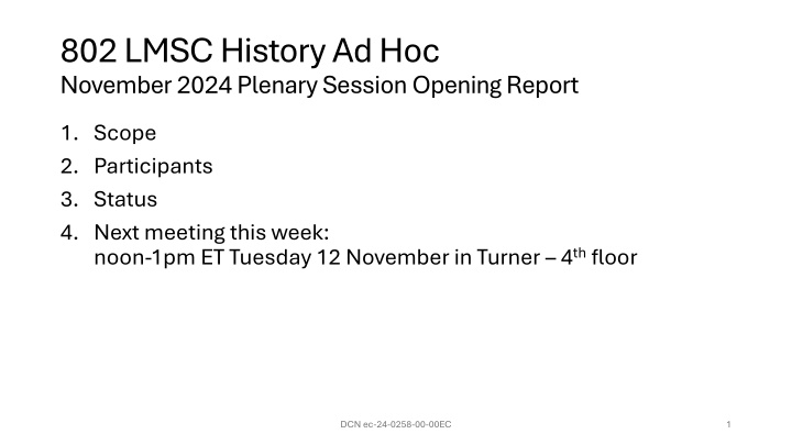 802 lmsc history ad hoc november 2024 plenary