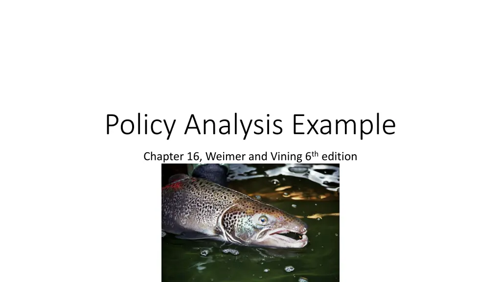 policy analysis example