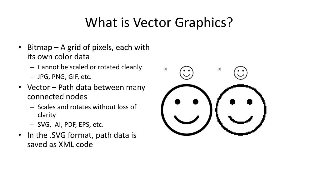 what is vector graphics