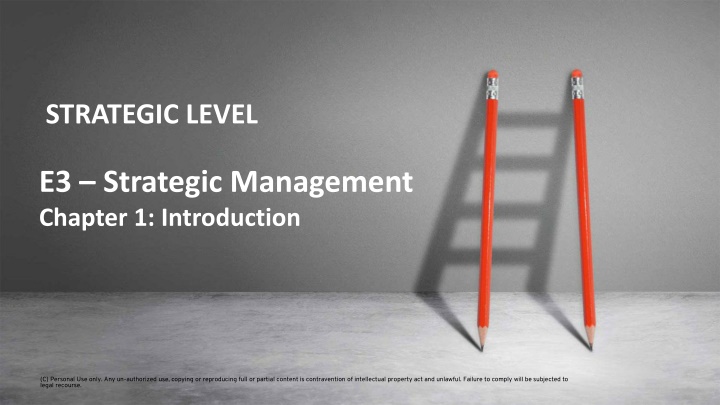 strategic level
