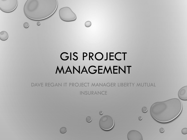 gis project management