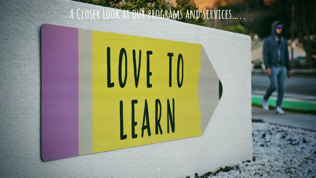 a closer look at our programs and services