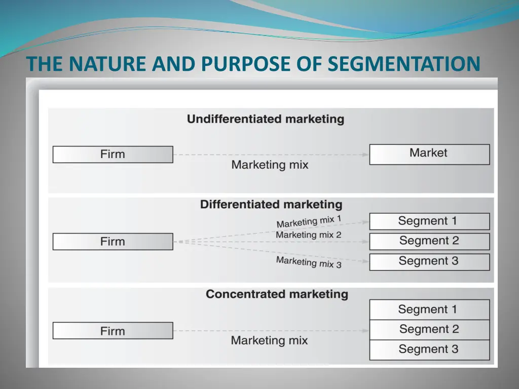 the nature and purpose of segmentation