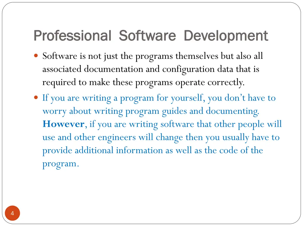 professional software development professional